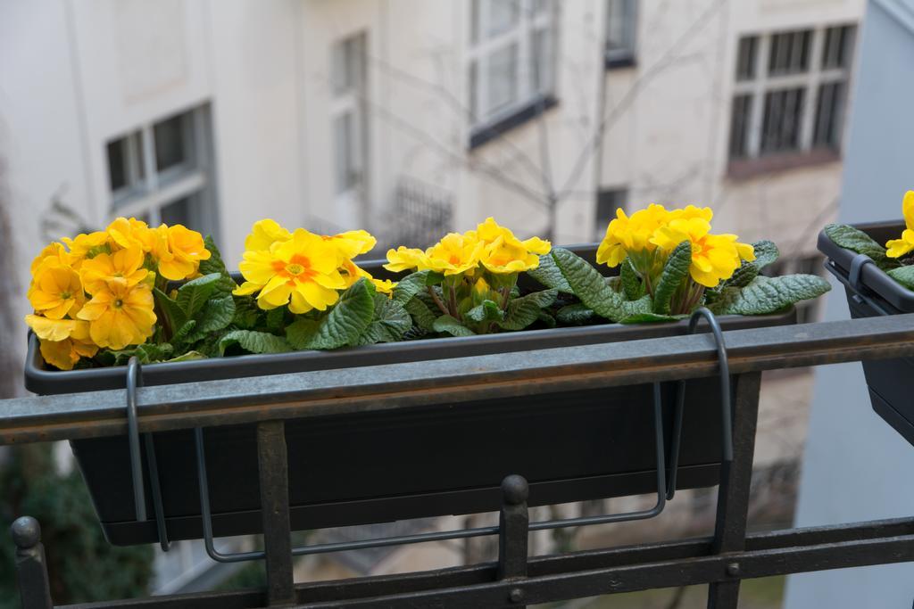Decadent Art Deco Balcony Apartment In Old Town Прага Экстерьер фото